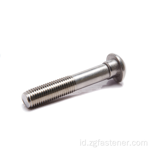 Sekrup ekor stainless baja sekrup leher bulat